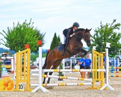 broodmare Ida 113 (German Sport Horse, 2019, from Ikarus 378)