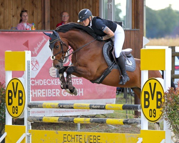 jumper Mauritius VEC (Holsteiner, 2020, from Million Dollar)
