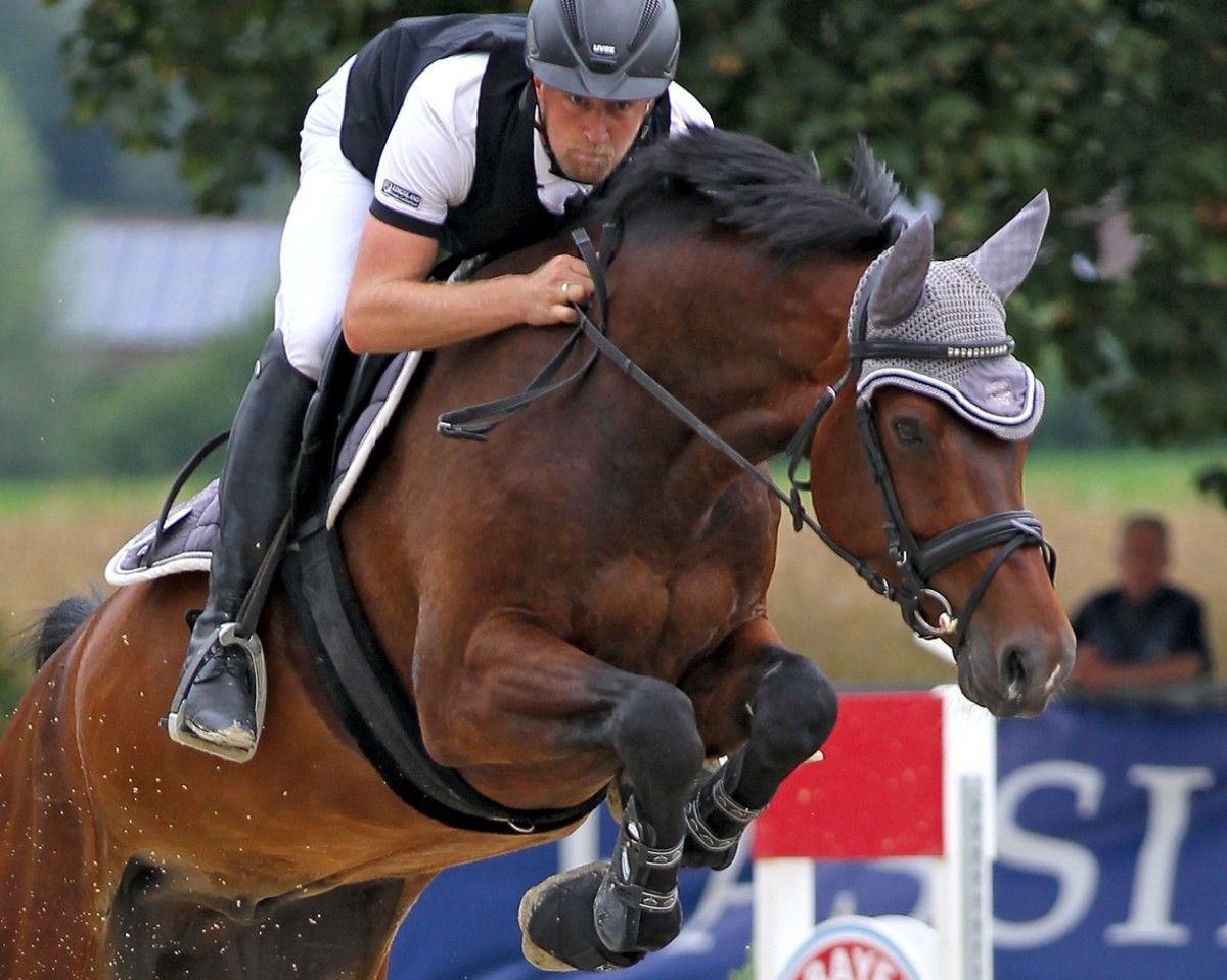 Springpferd C drei P O (Anglo Europäisches Sportpferd, 2018, von Call me Pezi)