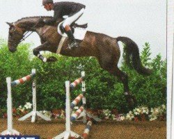 broodmare Charlott 17 (Holsteiner, 1997, from Cash)