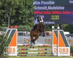 jumper Kim Possible 4 (Holsteiner, 2017, from Million Dollar)