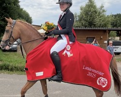 Springpferd Timon 60 (Deutsches Reitpony, 2017, von Topolino)