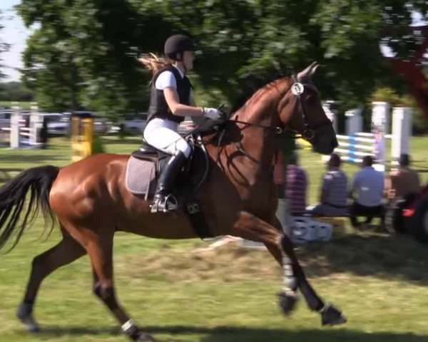 Pfingst-Reitturnier Kreuzkrug-Raddestorf 2014