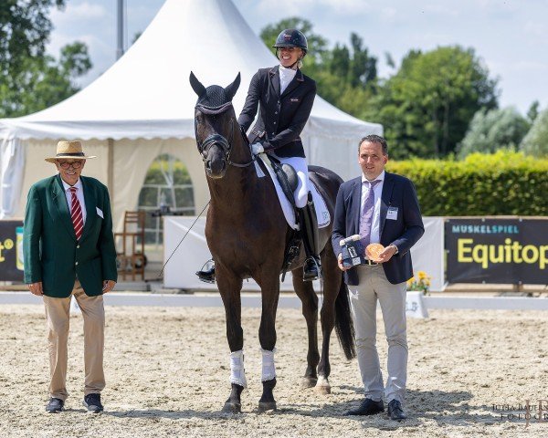 stallion Times Square (Trakehner, 2021, from Integer)