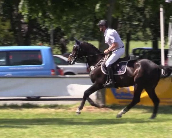 Pfingst-Reitturnier Kreuzkrug-Raddestorf 2014
