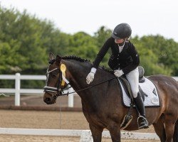dressage horse Starpower Merlin (Pinto / Pony, 2016, from Magic Merlin)