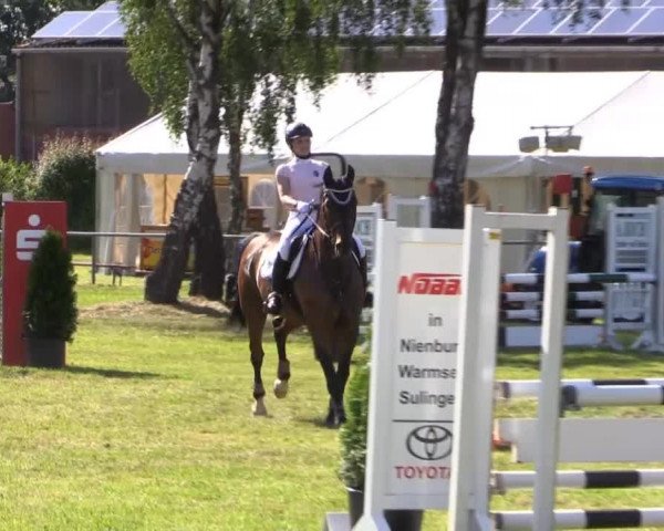 Pfingst-Reitturnier Kreuzkrug-Raddestorf 2014