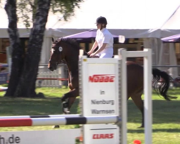 Pfingst-Reitturnier Kreuzkrug-Raddestorf 2014