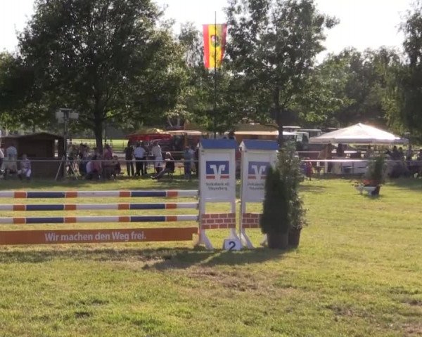 Pfingst-Reitturnier Kreuzkrug-Raddestorf 2014