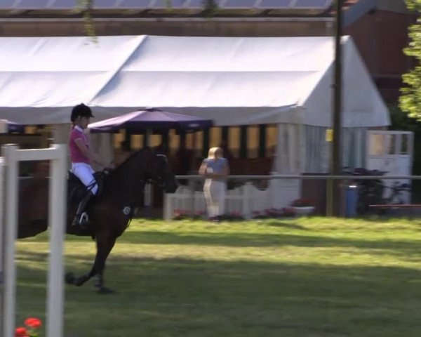 Pfingst-Reitturnier Kreuzkrug-Raddestorf 2014