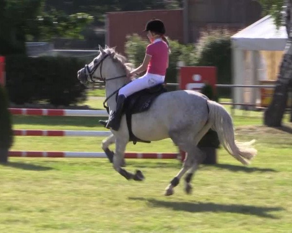 Pfingst-Reitturnier Kreuzkrug-Raddestorf 2014