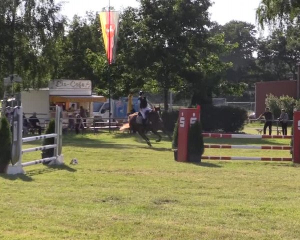 Pfingst-Reitturnier Kreuzkrug-Raddestorf 2014