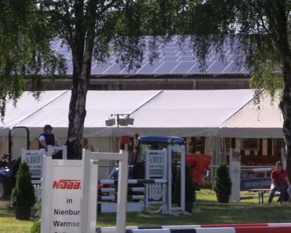 Pfingst-Reitturnier Kreuzkrug-Raddestorf 2014