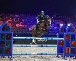 broodmare Carousa 2 (Oldenburg show jumper, 2006, from Carinue)