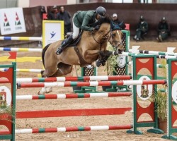 Springpferd Jewelbridge (KWPN (Niederländisches Warmblut), 2014, von Felton VDL)