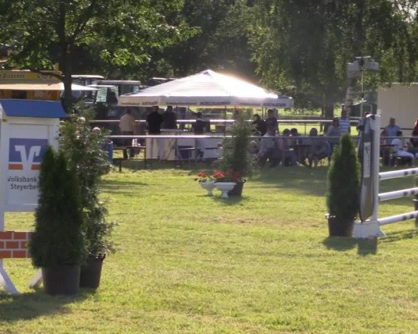 Pfingst-Reitturnier Kreuzkrug-Raddestorf 2014