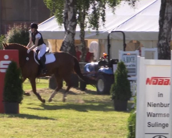 Pfingst-Reitturnier Kreuzkrug-Raddestorf 2014
