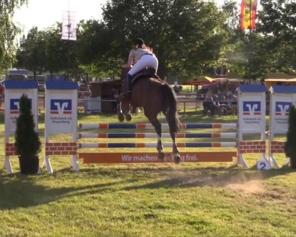Pfingst-Reitturnier Kreuzkrug-Raddestorf 2014