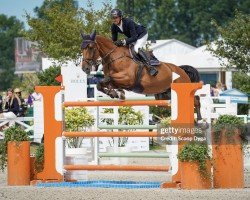 Springpferd Obelix vd Berghoeve (Belgisches Warmblut, 2014, von Dublin van Overis)