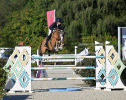 jumper A Wonderfull Krista Z (Zangersheide riding horse, 2017, from Aganix du Seigneur)