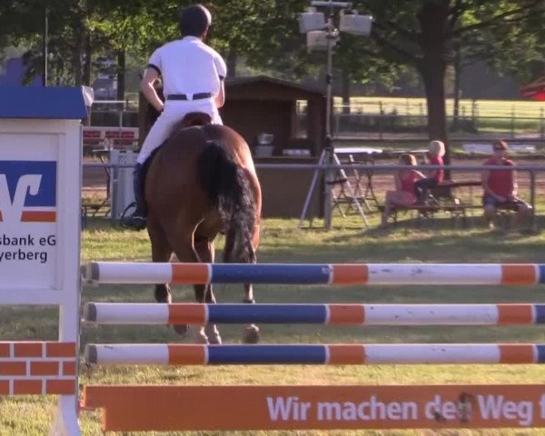 Pfingst-Reitturnier Kreuzkrug-Raddestorf 2014