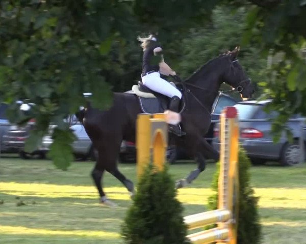 Pfingst-Reitturnier Kreuzkrug-Raddestorf 2014