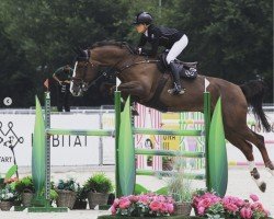 jumper Chaska II (Hanoverian, 2008, from Stenograph 176 FIN)
