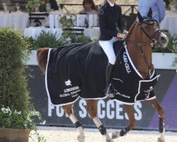 jumper Kamirez van Orchid's (Dutch Pony, 2010, from Kanshebber)