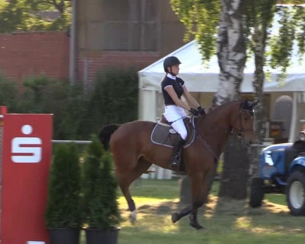 Pfingst-Reitturnier Kreuzkrug-Raddestorf 2014
