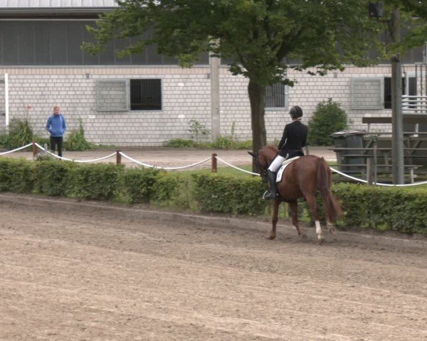 Reitturnier Olfen-Vinnum 2025