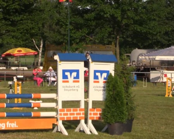 Pfingst-Reitturnier Kreuzkrug-Raddestorf 2014