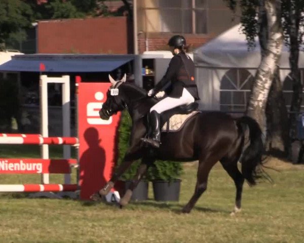 Pfingst-Reitturnier Kreuzkrug-Raddestorf 2014