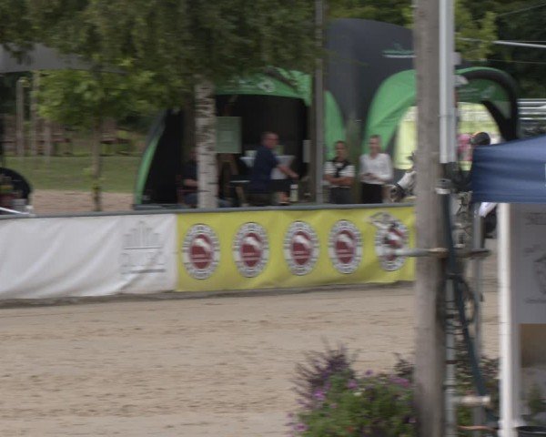 Reitturnier Olfen-Vinnum 2025