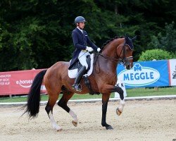 dressage horse Escolux (Westphalian, 2015, from Escolar)