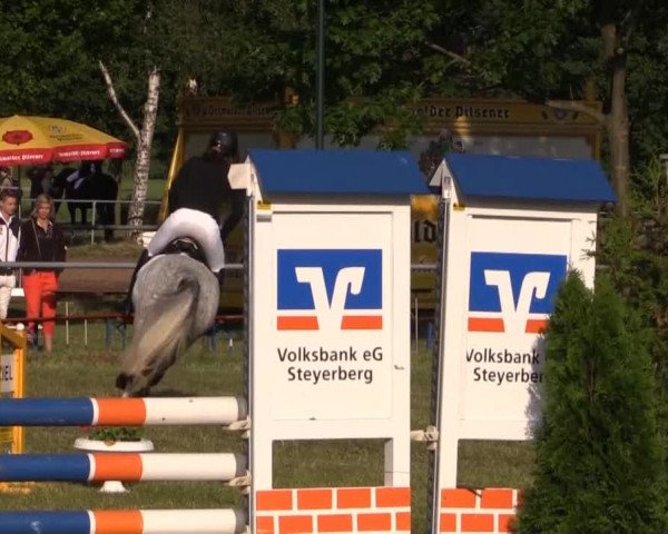 Pfingst-Reitturnier Kreuzkrug-Raddestorf 2014