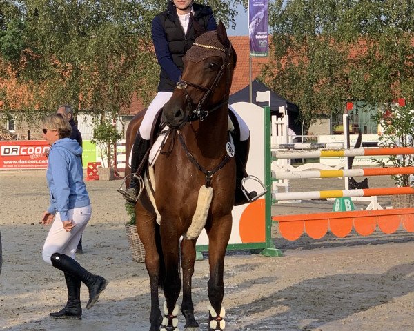 Zuchtstute Emilia C (Holsteiner, 2012, von Cassilano)