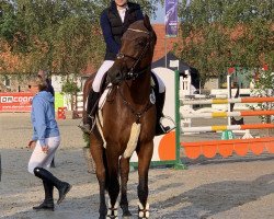 broodmare Emilia C (Holsteiner, 2012, from Cassilano)