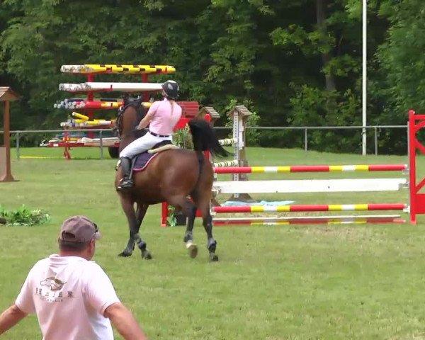 Grosses Freilandreitturnier Leingarten 2014