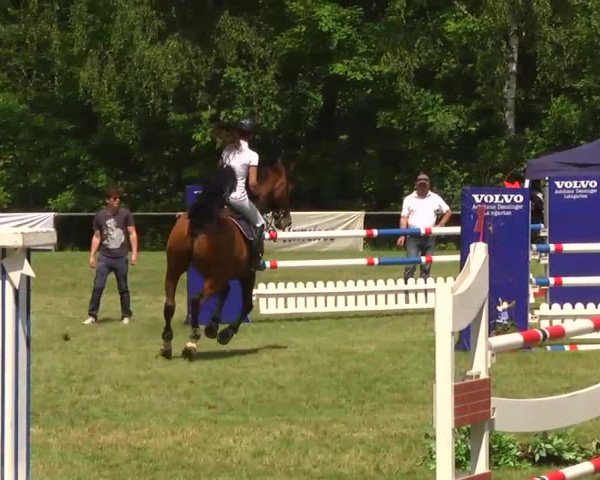 Grosses Freilandreitturnier Leingarten 2014