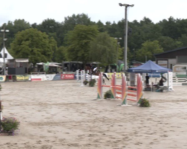Reitturnier Olfen-Vinnum 2025