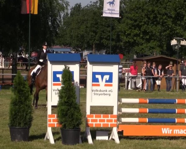 Pfingst-Reitturnier Kreuzkrug-Raddestorf 2014