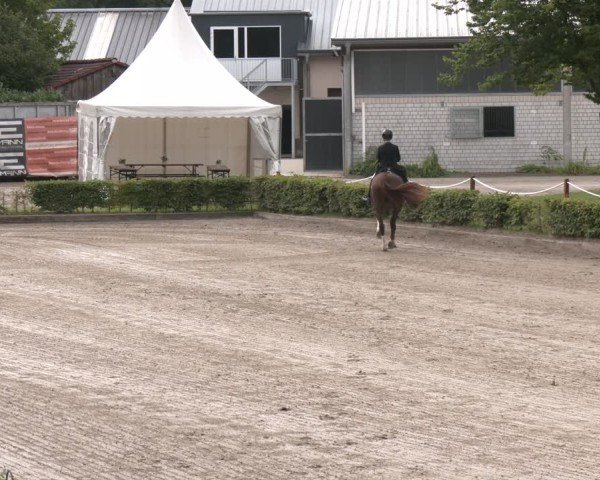 Reitturnier Olfen-Vinnum 2025