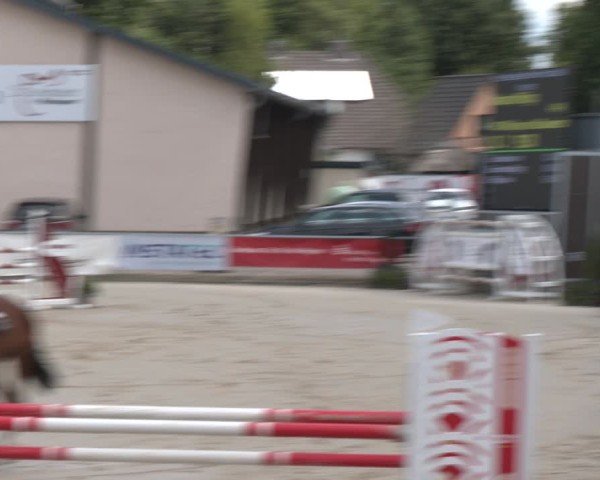 Reitturnier Olfen-Vinnum 2025