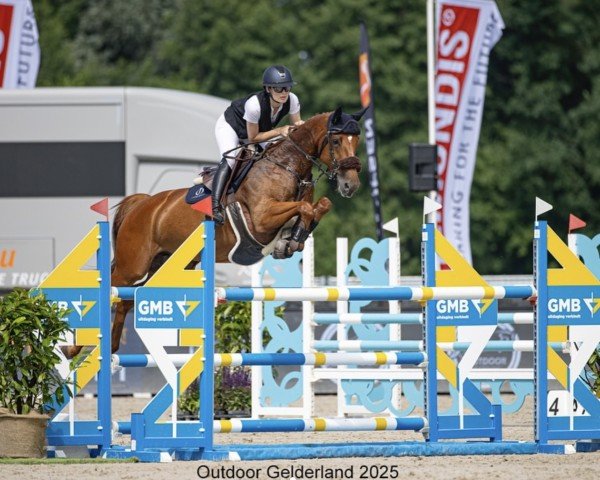 broodmare Murcielago (KWPN (Royal Dutch Sporthorse), 2017, from Emerald van 't Ruytershof)