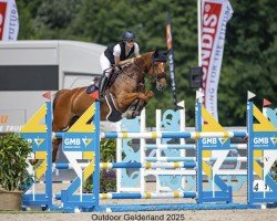 broodmare Murcielago (KWPN (Royal Dutch Sporthorse), 2017, from Emerald van 't Ruytershof)
