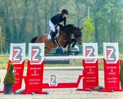 jumper Let's Jump Evo (KWPN (Royal Dutch Sporthorse), 2016, from Colandro)