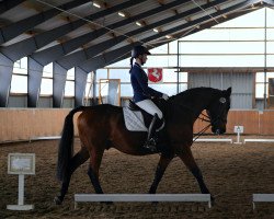 Cavallo da Dressage Littlelancer (Westfale, 2000, di Lancer III)