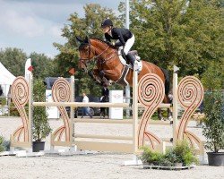 jumper Nibbit K (KWPN (Royal Dutch Sporthorse), 2018, from VDL Harley)