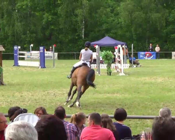 Grosses Freilandreitturnier Leingarten 2014