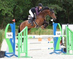 Springpferd Royal Daimond (Belgisches Warmblut, 2017, von Carrera VDL)